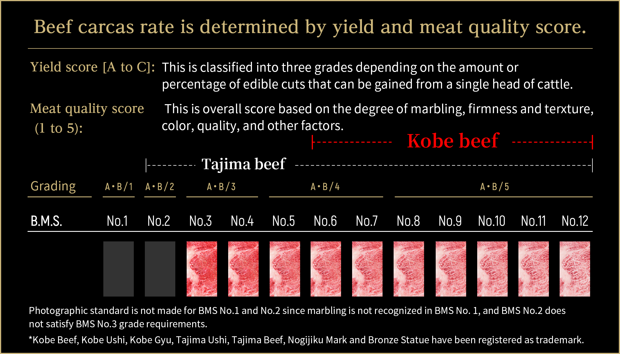 Beef carcas rate is determined by yield and meat
                                    quality score.